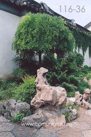 Foto 116-36 - Figuras de piedra en los jardines de uno de los museos del pueblo viejo de Zhouzhuang, china - 11-Junio-2006