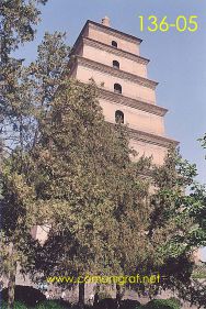 Foto 136-05 - Árboles en una de las laterales de la torre de la Gran Pagoda del Ganso Salvaje (Big Wild Goose Pagoda) en la ciudad de Xían China - 17-Junio-2006