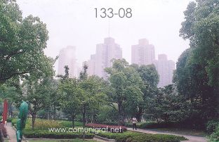 Foto 133-08 - Zona arboleada en el Parque Xujiahui (xujiahui park) de Shanghai China - 16-Junio-2006