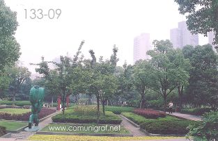 Foto 133-09 - Jardines en el Parque Xujiahui (xujiahui park) de Shanghai China - 16-Junio-2006