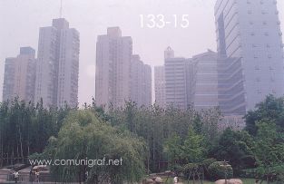 Foto 133-15 - Edificios contrastando con la naturaleza del Parque Xujiahui (xujiahui park) de Shanghai China - 16-Junio-2006