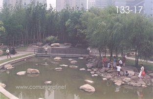 Foto 133-17 - Pequeño lago en el Parque Xujiahui (xujiahui park) de Shanghai China - 16-Junio-2006